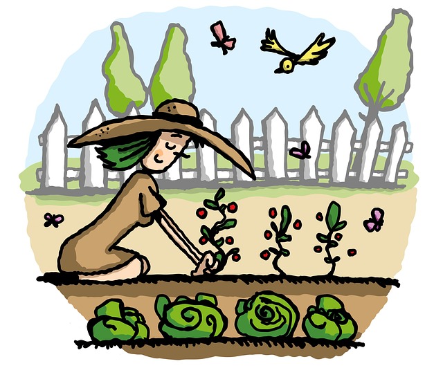 Je eigen moestuin beginnen op een makkelijke manier